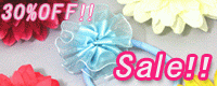 ����30%���ա����ָ����ܥ󥻡���